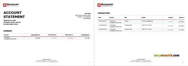 Switzerland Dukascopy Bank account statement Word and PDF, 2 pages